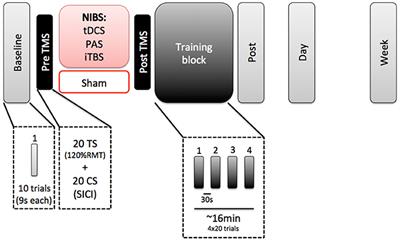 A Preliminary Comparison of Motor Learning Across Different Non-invasive Brain Stimulation Paradigms Shows No Consistent Modulations